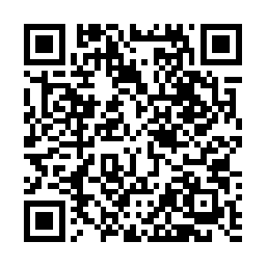 正放着席伯父昨天为她特意空运而来的法国特种紫金玫瑰二维码生成