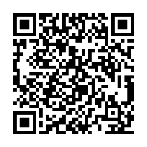 正是上次带着剑尘前往佣兵之城的那名天空圣师二维码生成