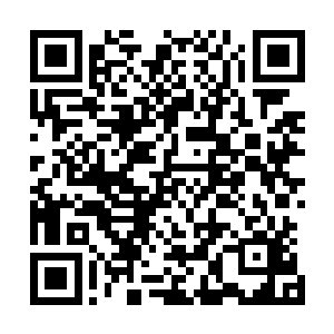 正是上次钓了条大鱼绕了一圈儿跑过来向贝海炫耀的猎手号二维码生成