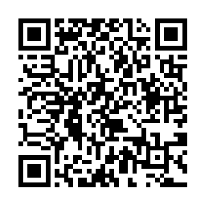 正是两三天前在自己手中落荒而逃的那个好运的小子二维码生成