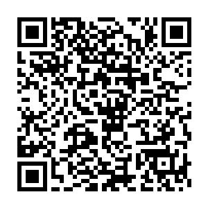 正是之前在圣地外围城池茶楼之中所见到的那个手持龙头拐杖的老婆婆二维码生成