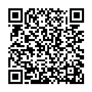 正是他曾经斩杀的九品妖皇阴阳十绝兽的白骨所制成二维码生成