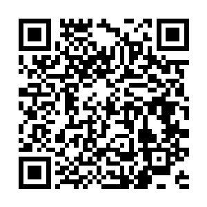 正是你们自以为是的忧国忧民都会带着一股书生意气二维码生成