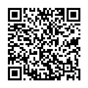 正是剑尘在帝联商会上耗费重金才买下来的那一株引魂莲二维码生成