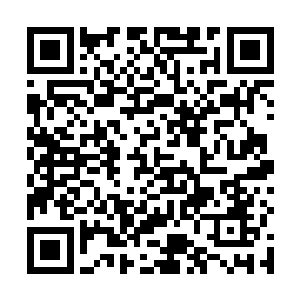 正是因为一个可以确切获得神器的消息有了数据来衡量二维码生成