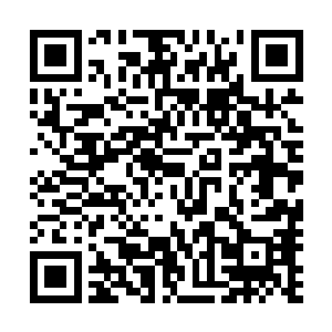 正是因为厌烦了那种利益至上的环境才任性地上了医科大学二维码生成