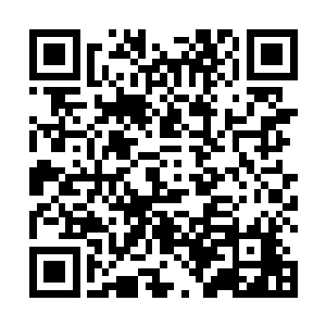 正是因为这一闪一闪的白光让他们看到满地的黑色触角二维码生成
