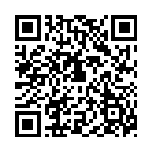 正是坐在五根柱子下方的五个修士的容貌二维码生成