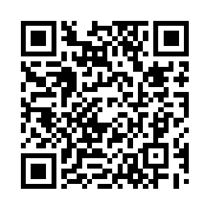 正是当初他前往万骨楼时所遇见的那名小孩二维码生成