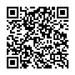 正是当初在天镇关上古遗迹中那些大乘后期的傀儡二维码生成