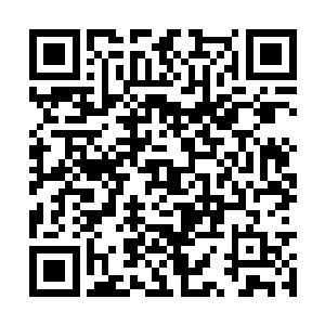 正是当初在蒋天舒那艘赌船上和自己赌的那个女子二维码生成