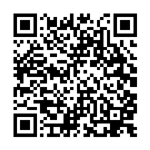 正是当初林烽在天姥峰内部和巨大尸体争斗起来时二维码生成