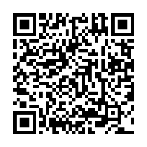 正是徐庶所派的那两员领着弓弩手的将领带着人马冲杀过来二维码生成
