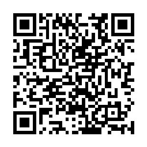 正是曹仁率领着曹魏军的大部人马铺天盖地地杀了上来二维码生成