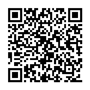 正是每次见面几乎都是会让杨辰麻烦缠身的蔡妍二维码生成