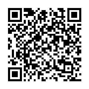 正是生命之花分泌出来的帮助张铁修复身体的溶液二维码生成