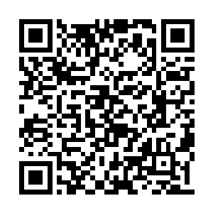 正是白日里跟着柳氏去乐福堂的其一个丫鬟阿岚二维码生成