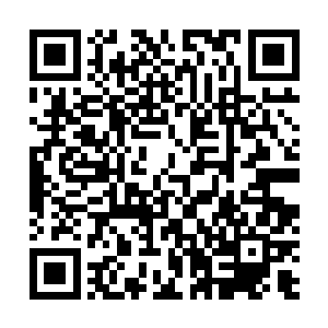 正是蒋志鹏介绍了这位科班出身基本功很扎实的小孙给他二维码生成