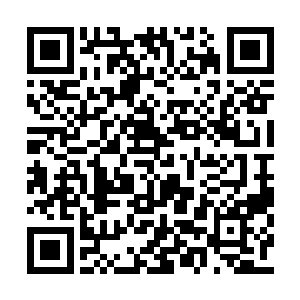 正是负责守卫空间通道的冲云殿弟子放出的信号二维码生成