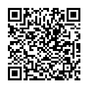 正是赤蛇殿当今正副两位殿主以及早已隐世的两位太上长老二维码生成