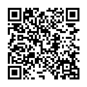 正站在街边陆庭舟一抬头便看见那个一路往前跑的拐子二维码生成