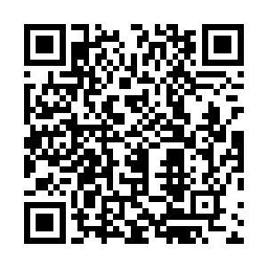 正背对着李大可吃力的用两只前爪扒拉着一块硕大的石头二维码生成