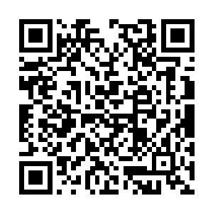 正虎视眈眈我们家族和寒仙门互斗的夏七两夏道友二维码生成