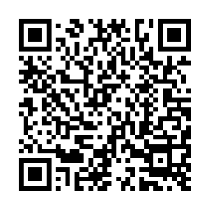 正要抽身而退之时却发现自己已经被这股威压锁定二维码生成