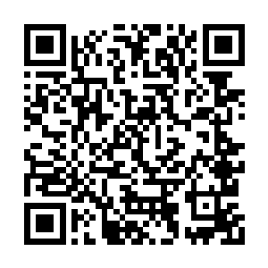 正见马云禄一把搂住了比她高了一个人头的张颌二维码生成