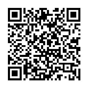 正见马羲军三部人马此时正于徐晃率领之下快速冲上二维码生成