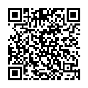 正规的钓鱼比赛并不只是简单的比较钓鱼高手的技术水平二维码生成