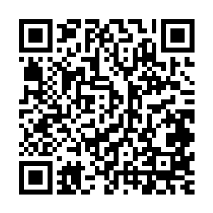 正面由两名警察化装成何振南的亲戚和何县长带着二百万上山二维码生成