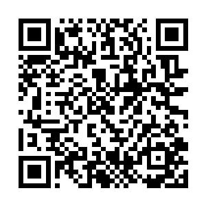 此丹药不但不会和之前服用的丹药声任何的药效冲突二维码生成