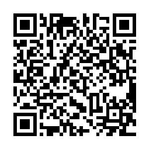 此事根本不能轻而易举像上次似的给点儿粮食就拉倒的二维码生成