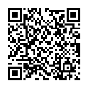 此刻一边为苏凡擦拭着身上血迹的老人缓缓的说道二维码生成