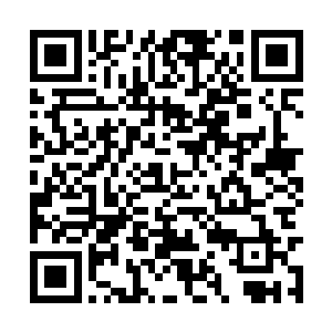 此刻为了抓捕达文波特而耽误了那么一丁点的时间二维码生成