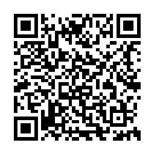 此刻他代表政府特招楚翔天做番疆自治的领导人二维码生成
