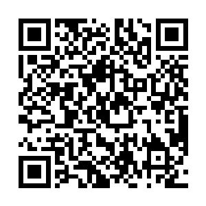 此刻他死鱼一般的眼珠子死死地盯住孟猊和龙晓琪的脸二维码生成