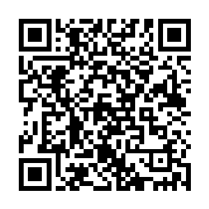 此刻众人顿时站起身子看着苏凡笑了笑异口同声的说道二维码生成