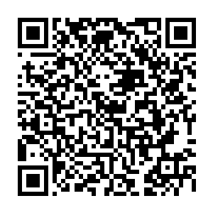 此刻再看到其中一个衣冠楚楚的公子哥迫不及待得用手抓了抓两腿间挺起的物什二维码生成