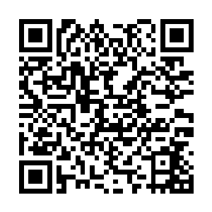 此刻却是双腿不断颤抖的看着眼前如恶魔般的少年二维码生成