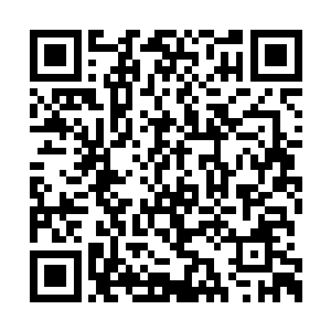 此刻却是在胸口指尖明显有一条十分明显的痕迹二维码生成