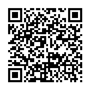 此刻只怕早已被感动的一塌糊涂……就算是根木头二维码生成