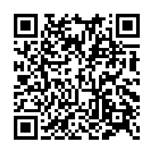 此刻可不就是如明月高悬一般站在柳红袖后面么二维码生成