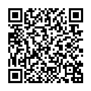 此刻在圣彼得大教堂之中的教皇虽然也是满脸的愁容二维码生成