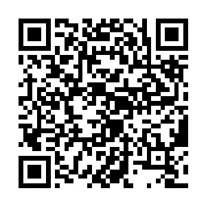 此刻在娑娜的有些不解为什么龙王会叫自己打个电话二维码生成