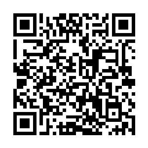 此刻在广场之上的圣骑顿时不由的抖了抖自己的身子二维码生成