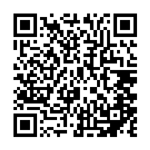 此刻在黑暗教廷之中的黑暗教皇加隆面对着这个消息二维码生成