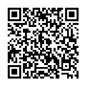 此刻天蝎圣骑还有巨蟹圣骑也是不由的饿谨慎了起来二维码生成