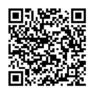 此刻娑娜抹了抹脸上的泪水缓缓饿朝着龙王说道二维码生成